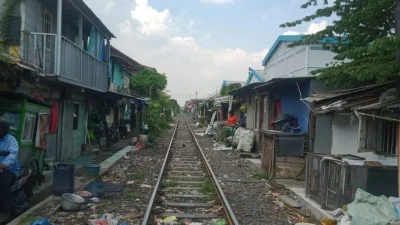 SEPANJANG BANTARAN REL KERETA API (KADAOPS VIII SURABAYA PASAR TURI ) KREMBANGAN MULYO PENUH BANGLI , SERING MEMAKAN KORBAN .