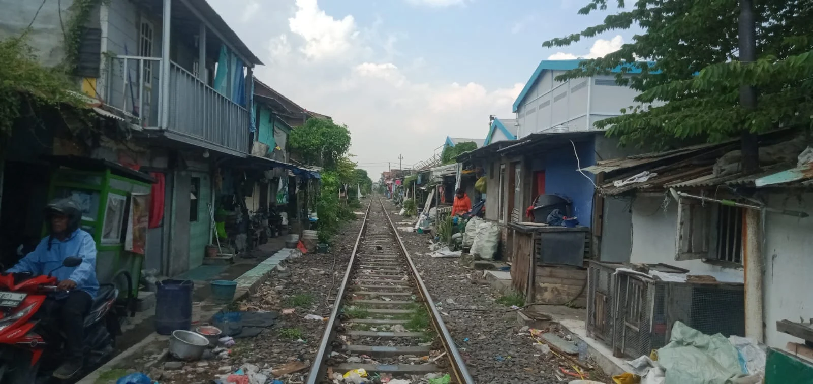 SEPANJANG BANTARAN REL KERETA API (KADAOPS VIII SURABAYA PASAR TURI ) KREMBANGAN MULYO PENUH BANGLI , SERING MEMAKAN KORBAN .