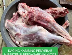 daging kambing penyebab hipertensi berdasarkan mitos bukan data ilmiah