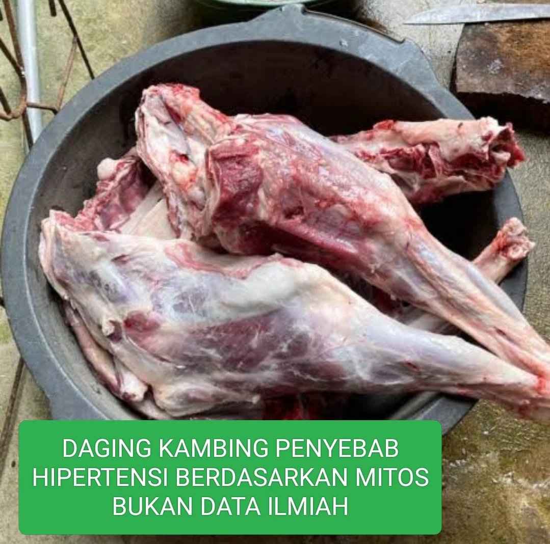 daging kambing penyebab hipertensi berdasarkan mitos bukan data ilmiah