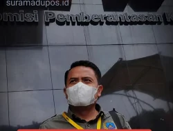 Bau Mafia Cukai Kian Menyengat! AMI Tekan KPK Usai Periksa Pengusaha Rokok