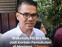 waketum partai solidaritas indonesia dianiaya 2 orang