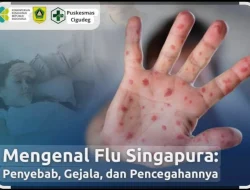MENGENAL FLU SINGAPURA : Penyebab, Gejala , dan Pencegahannya