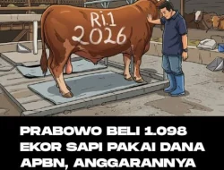 GOLKAR PASANG BADAN DAN POLEMIK QURBAN SAPI MENGGUNAKAN APBN