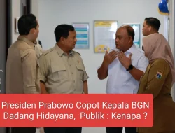 presiden prabowo copot ketua MBG dadang Idayana, Netizen : Kenapa ?