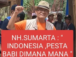 INDONESIA, PESTA BABI DI MANA MANA.