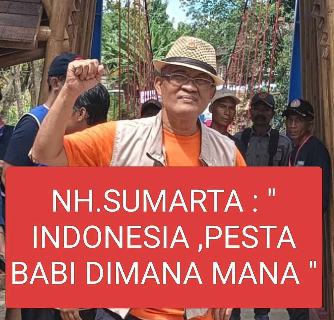 INDONESIA, PESTA BABI DI MANA MANA.