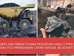 KORUPSI DAN TINDAK PIDANA PENCUCIAN UANG (TPPU) BATU BARA PICU PEMADAMAN LISTRIK MASSAL ( BLACKOUT) ?