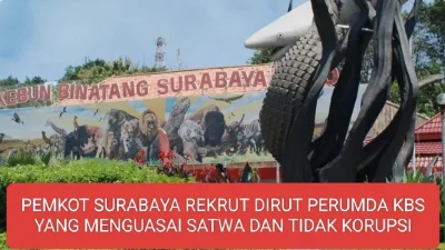 PEMKOT SURABAYA REKRUT DIRUT PERUMDA KBS YANG MENGUASAI SATWA DAN TIDAK KORUPSI