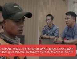 LAKUKAN PUNGLI 2 PPPK PARUH WAKTU DINAS LINGKUNGAN HIDUP (DLH) PEMERINTAH KOTA SURABAYA  DIPECAT