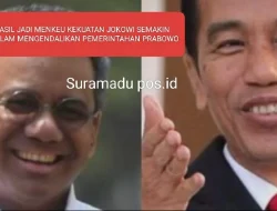 SUAHASIL JADI MENKEU KEKUATAN JOKOWI SEMAKIN KUAT DALAM MENGENDALIKAN PEMERINTAHAN PRABOWO
